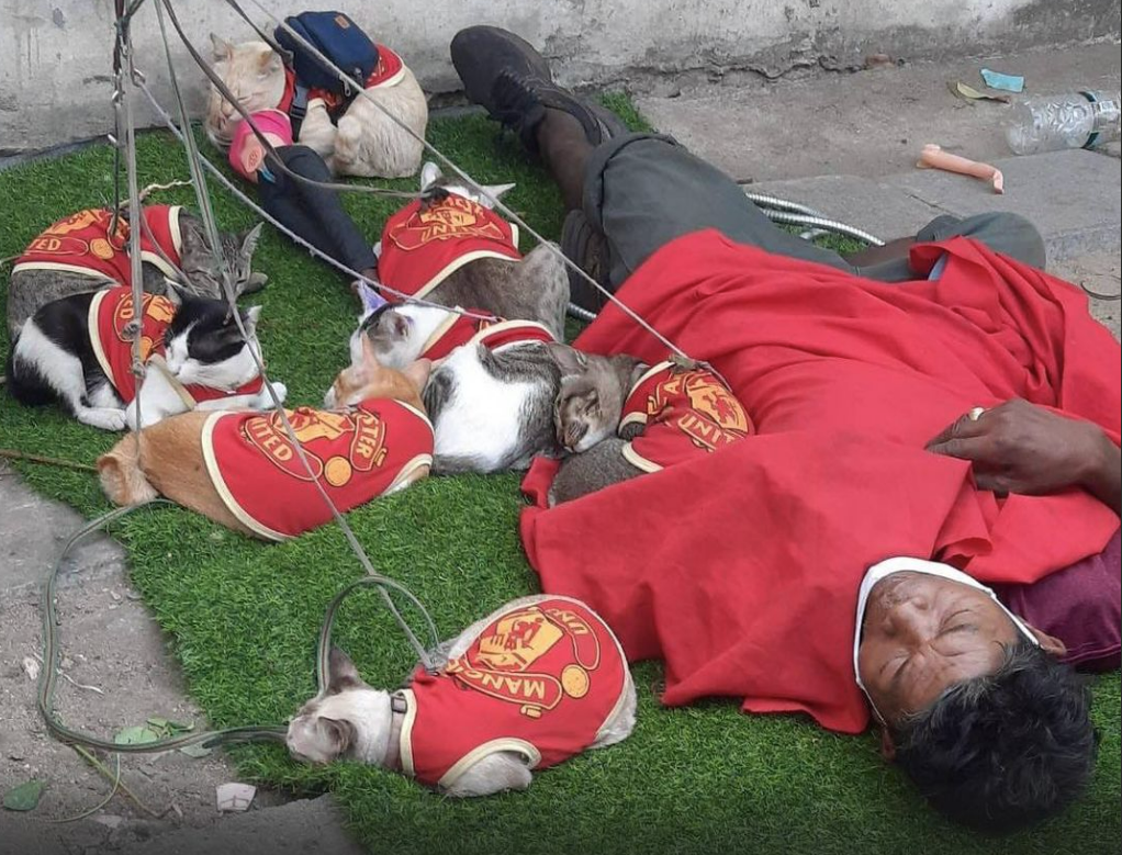 “Chú Samsen” không bao giờ bỏ “người thân” của mình. Ảnh: Kingdom Of Tigers. “Chú Samsen” không bao giờ bỏ “người thân” của mình. Ảnh: Kingdom Of Tigers.