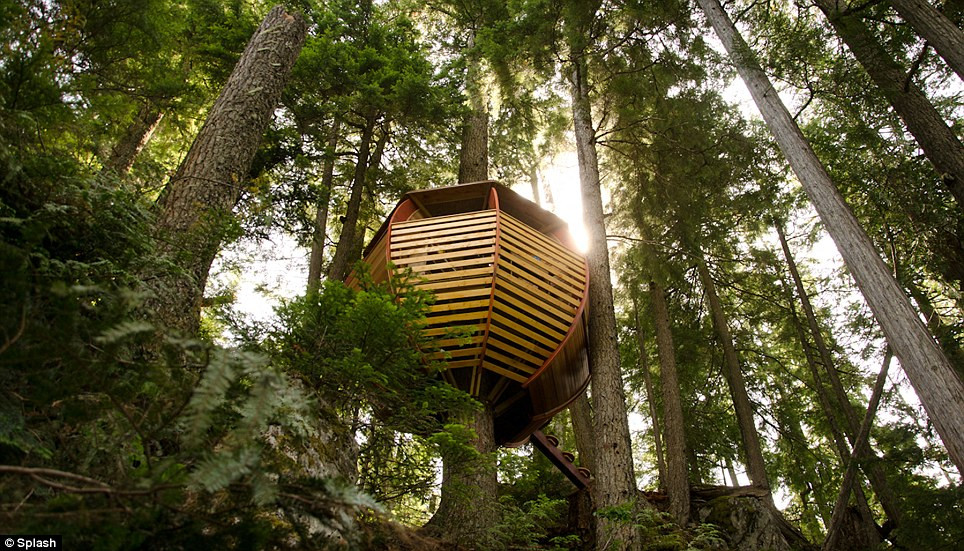 Nằm trong khu rừng của Whistler, Canada, cấu trúc thiết kế không bị phát hiện trong nhiều năm