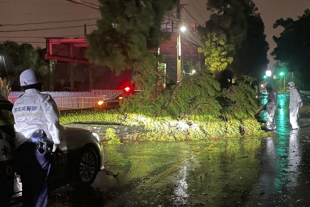 Cây đổ vì gió lớn ở Kumamoto. Ảnh: Reuters