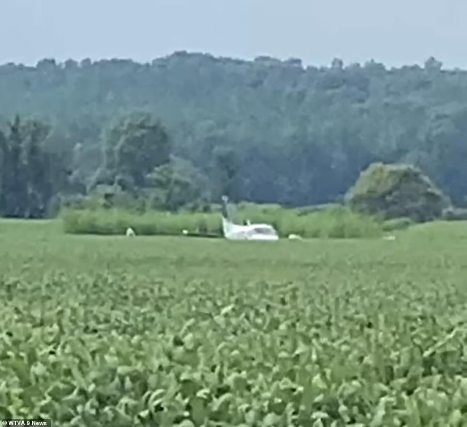 Máy bay hạ cánh xuống một cánh đồng. Ảnh: Daily Mail Máy bay hạ cánh xuống một cánh đồng. Ảnh: Daily Mail