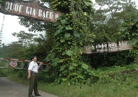 Anh Cảm tâm sự: “Với tôi Bạch Mã là tất cả”