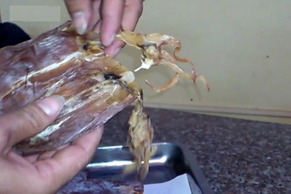 Vì là mực ươn, nên đầu và râu mực đã bị rụng. Để đẹp mã, nhiều người kinh doanh đã tìm cách gắn lại