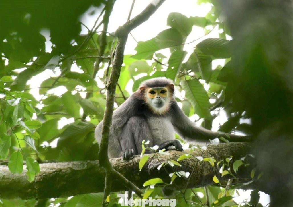 Đây là nơi lý tưởng phục vụ cho công tác nghiên cứu khoa học nhằm bảo tồn nguồn gene quý hiếm của các loài động, thực vật. Với hệ sinh thái rừng thường xanh có độ che phủ trên 90%, Vườn quốc gia Bù Gia Mập góp phần phòng hộ và điều tiết nguồn nước cho các hồ thủy điện và hồ thủy lợi vùng hạ du sông Bé.