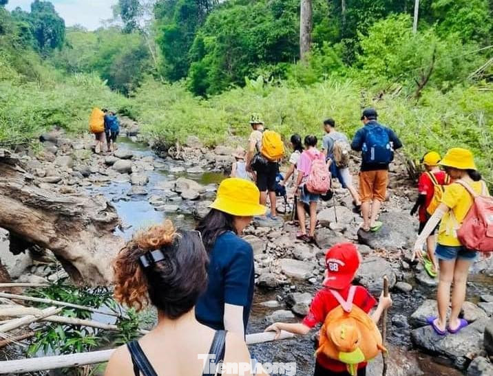 Theo đại diện Ban quản lý Vườn quốc gia Bù Gia Mập cho biết, từ ngày 8/1, đơn vị chính thức đón những vị khách đến tham quan đầu tiên sau thời gian dài tạm ngưng do ảnh hưởng dịch bệnh COVID-19.