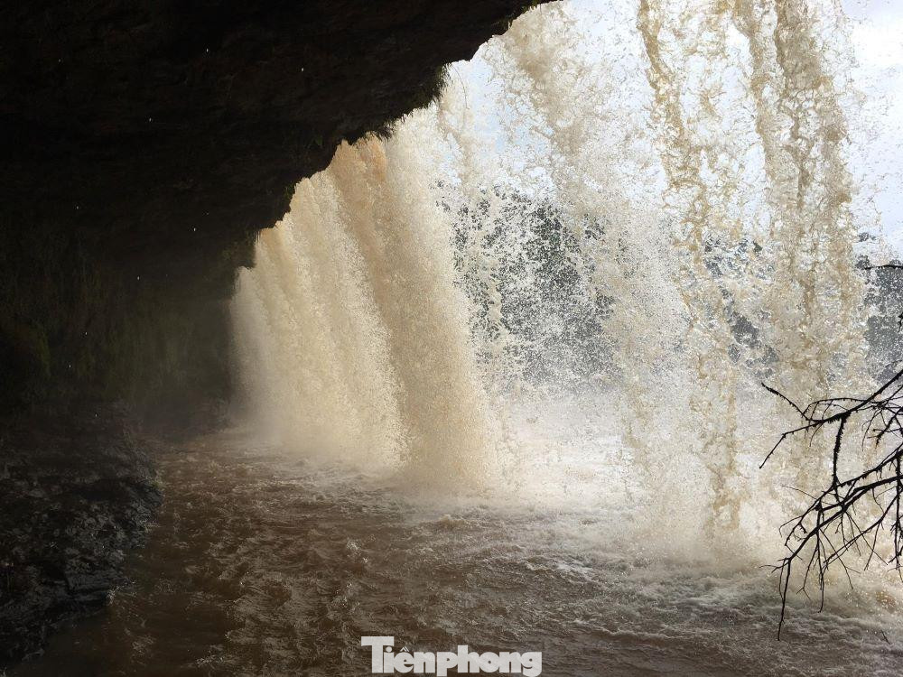 Vườn quốc gia Bù Gia Mập là nơi bảo tồn nhiều loài thực vật quý hiếm được xếp hạng theo thang đánh giá của liên minh bảo tồn thế giới và chính phủ Việt Nam. Vườn quốc gia Bù Gia Mập có 52 loài thực vật cần được áp dụng các biện pháp bảo tồn cấp bách chiếm 5,07% tổng số loài.