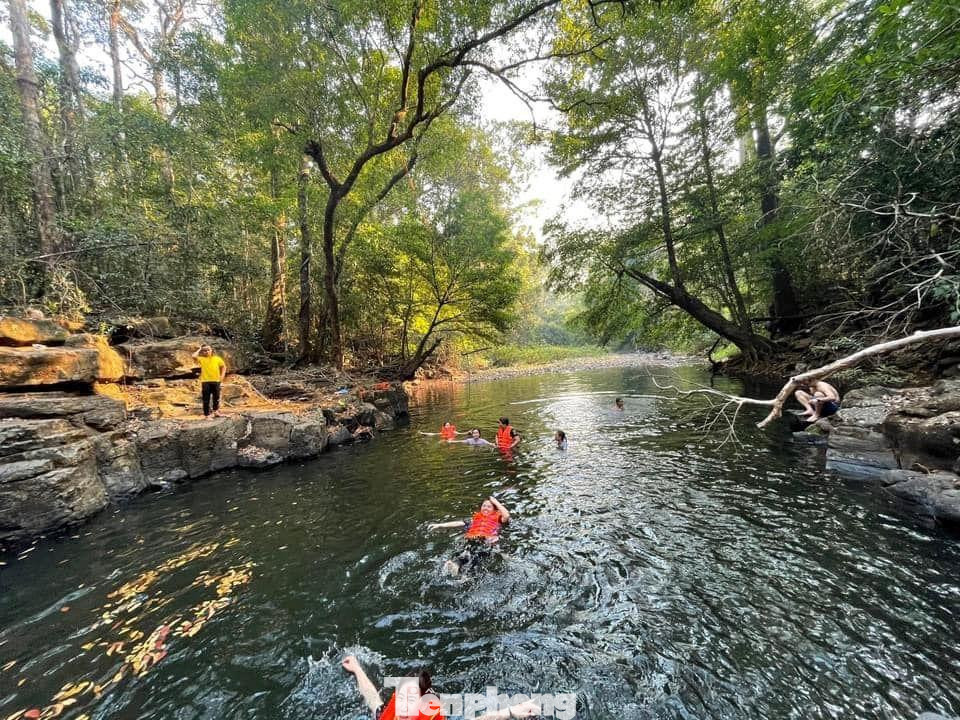 Lâm phần của Vườn quốc gia Bù Gia Mập có tổng diện tích là 25.601,18 ha, trong đó diện tích rừng tự nhiên là 25.505 ha, rừng gỗ lá rộng là 5.918 ha (4.134 ha rừng giàu, 1.310 ha rừng trung bình, 169 ha rừng nghèo, 304,8 rừng phục hồi, rừng hỗn giao 17.851 ha, và rừng tre nứa, lồ ô 1.776,5 ha).