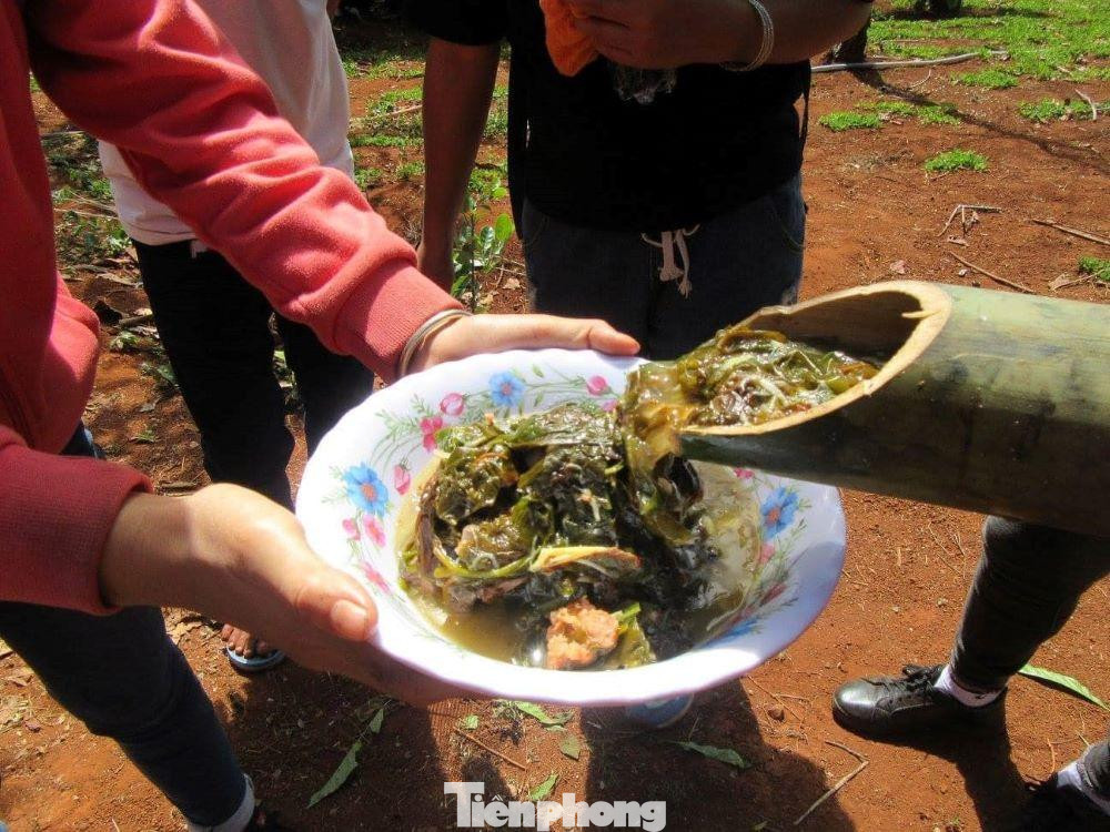 Vườn quốc gia Bù Gia Mập đóng vai trò quan trọng trong công tác bảo tồn đa dạng sinh học không chỉ đối với quốc gia mà còn mang tầm cỡ quốc tế. Vườn quốc gia Bù Gia Mập nằm liền kề với các khu bảo tồn thiên nhiên thuộc vương quốc Campuchia, và các khu bảo tồn này tạo ra hành lang sinh thái Đông – Tây góp phần vào công tác bảo tồn các loài nguy cấp toàn cầu như vượn đen má vàng, tê tê java, voi châu Á, chà vá chân đen và nhiều loài