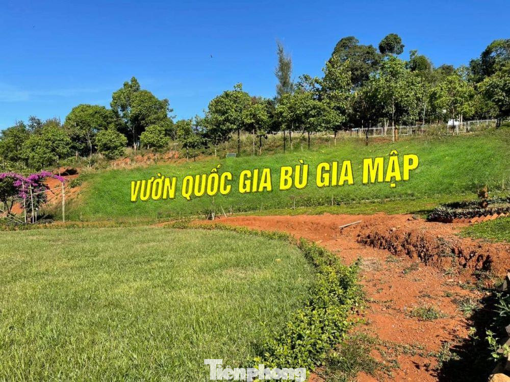 Được chuyển hạng từ khu bảo tồn thiên nhiên Bù Gia Mập theo quyết định số 170 ngày 27/11/2002 của Thủ tướng Chính phủ nhằm thực hiện mục tiêu phát triển bền vững tại địa phương và khu vực.