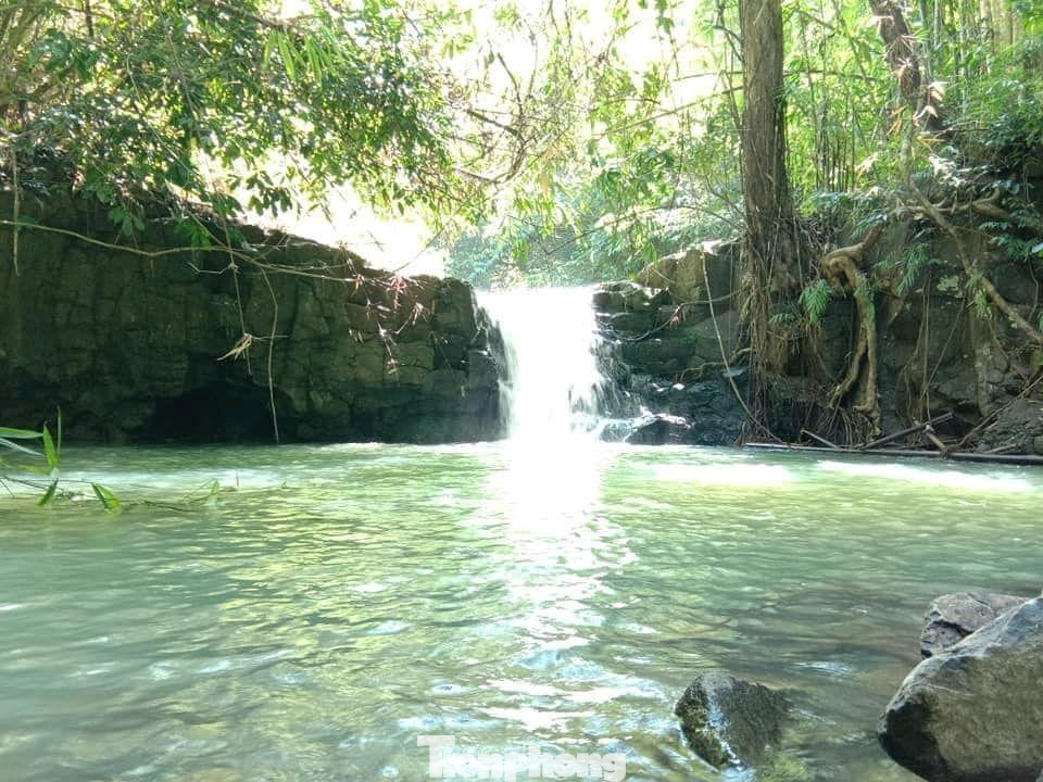 Vườn quốc gia Bù Gia Mập được thành lập để bảo tồn và phát triển mẫu chuẩn hệ sinh thái rừng kín thường xanh trên đồi núi thấp có độ cao dưới 1.000m và đại diện cho khu vực chuyển tiếp từ Tây Nguyên xuống đồng bằng Nam bộ.