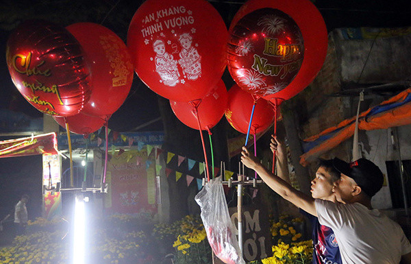 Pháo hoa rực sáng bầu trời chào đón năm mới Kỷ Hợi ảnh 53