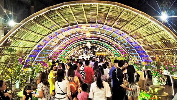 Pháo hoa rực sáng bầu trời chào đón năm mới Kỷ Hợi ảnh 35