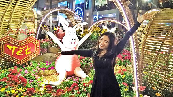 Pháo hoa rực sáng bầu trời chào đón năm mới Kỷ Hợi ảnh 34