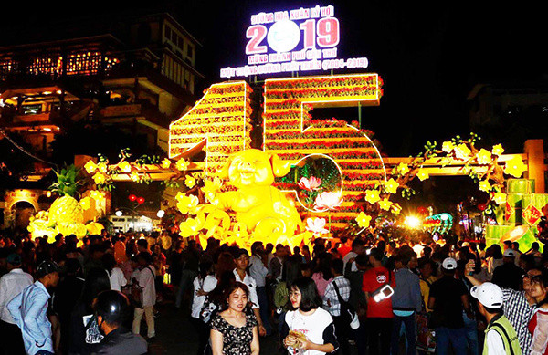 Pháo hoa rực sáng bầu trời chào đón năm mới Kỷ Hợi ảnh 40