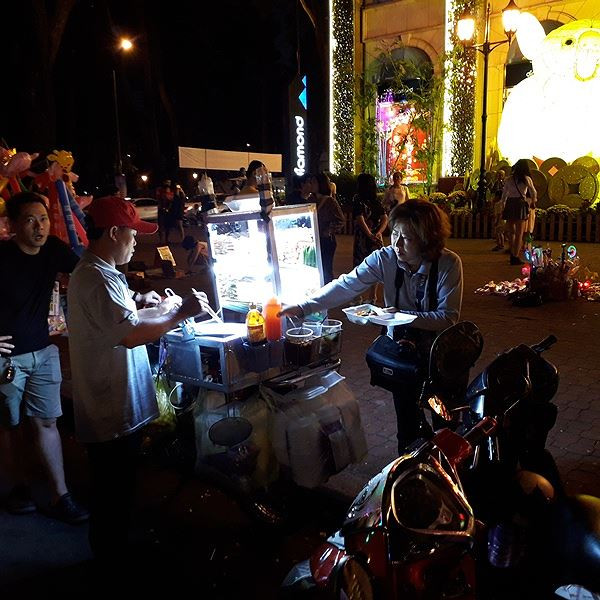 Pháo hoa rực sáng bầu trời chào đón năm mới Kỷ Hợi ảnh 44