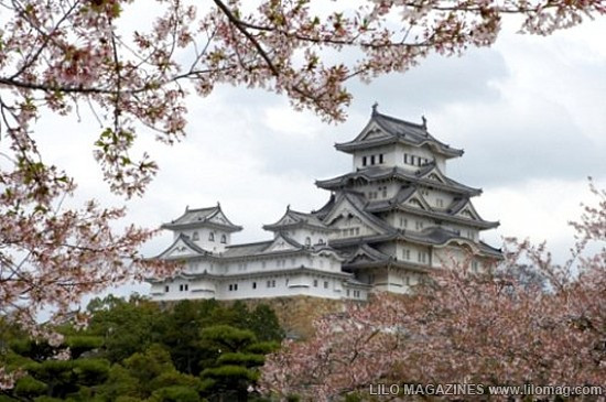 Lâu đài Malbork nổi tiếng nhất Ba Lan rộng 143.591 m2, được xây hoàn toàn bằng gạch theo phong cách kiến trúc Gôtích lớn nhất thế giới. Mehrangarh Fort rộng 81.227 m2, một pháo đài hàng nghìn năm tuổi tại Ấn Độ. Bao quanh là bức tường kiên cố có chiều dày 6m, bên trong là cung điện nguy nga với kiến trúc tinh xảo. Tại đây, bạn có thể thấy nhiều hiện vật lịch sử của những vị vua. Prague Castle rộng 66.761 m2 là lâu đài thời trung cổ lớn nhất ở châu Âu và là nơi ngự trị cổ xưa của các vị vua Séc trong suốt các thời đại. Đây là quần thể các tòa nhà, cung điện, thánh đường lộng lẫy và được xem là biểu tượng của cộng hòa Séc. Windsor Castle rộng 54.835 m2, là lâu đài lớn nhất, lâu đời nhất thế giới và là niềm tự hào lịch sử nước Anh. Lâu đài Hohensalzburg rộng 54523 m2 nằm tại thành phố Salzburg, Áo. Spis Castle rông 49485 m2 là một trong những lâu đài thời Trung cổ lớn nhất ở trung tâm châu Âu, tại miền đông Slovak Buda Castle rộng 44.674 m2 là lâu đài lịch sử của các vị vua Hungary tại Budapest. Himeji Castle rộng 41.468 m2 nằm ở trung tâm của thành phố Himeji, Nhật Bản. Thành cổ Aleppo rộng 39.804 m2, được coi là niềm tự hào của sa mạc, thành cổ Aleppo là một trong những lâu đài nổi tiếng nhất trong thế giới Ả Rập.