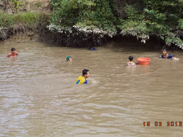 Chỗ này có cá các bạn ơi