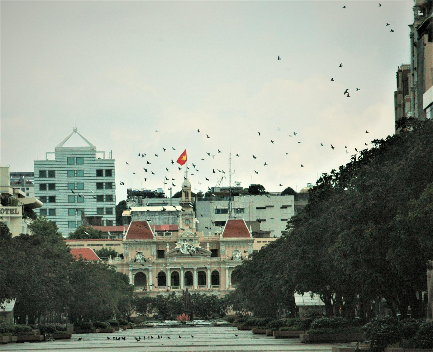 Chỉ những người làm các công việc thiết yếu mới được phép ra khỏi nhà và trên các ngả đường vào khu trung tâm thường có các chốt kiểm soát phòng chống COVID-19. Tất cả các danh thắng, công viên, phố đi bộ đều đóng cửa, tuyệt đối không phục vụ du khách. Trong ảnh: Đường phố đi bộ Nguyễn Huệ thành thiên đường của các loại chim (Ảnh chụp chiều 15/7/2021). Chỉ những người làm các công việc thiết yếu mới được phép ra khỏi nhà và trên các ngả đường vào khu trung tâm thường có các chốt kiểm soát phòng chống COVID-19. Tất cả các danh thắng, công viên, phố đi bộ đều đóng cửa, tuyệt đối không phục vụ du khách. Trong ảnh: Đường phố đi bộ Nguyễn Huệ thành thiên đường của các loại chim (Ảnh chụp chiều 15/7/2021).