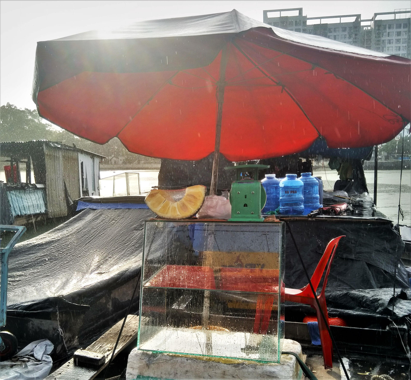 Miếng mít cuối cùng cũng được dân vạn chài đem ra bán. Miếng mít cuối cùng cũng được dân vạn chài đem ra bán.