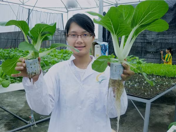 Vũ Thanh Quỳnh mong muốn được ra Trường Sa trồng rau xanh cho lính đảo