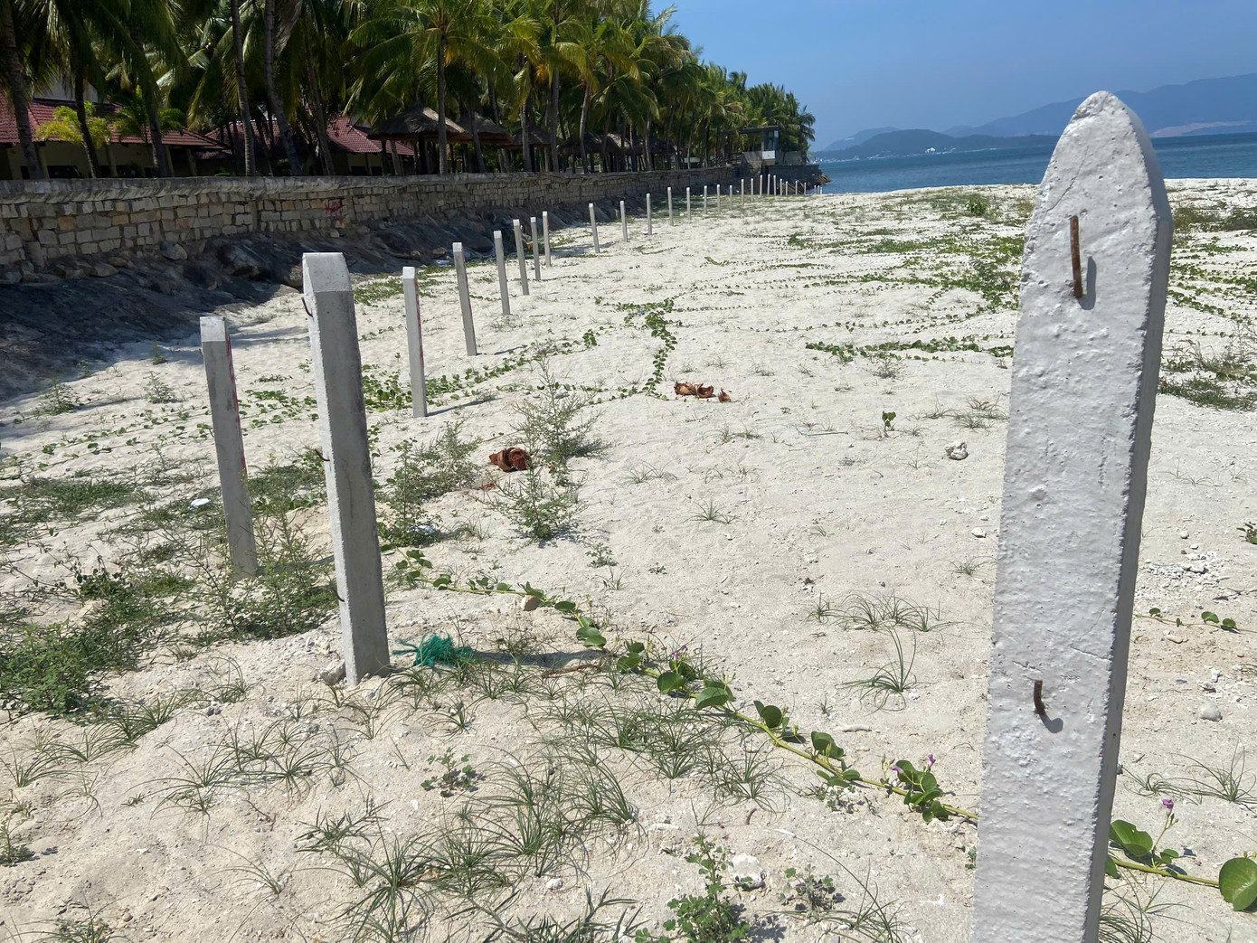 Dù đã tháo dỡ một phần thép gai nhưng nhiều trụ bê tông chưa được di dời. Dù đã tháo dỡ một phần thép gai nhưng nhiều trụ bê tông chưa được di dời.