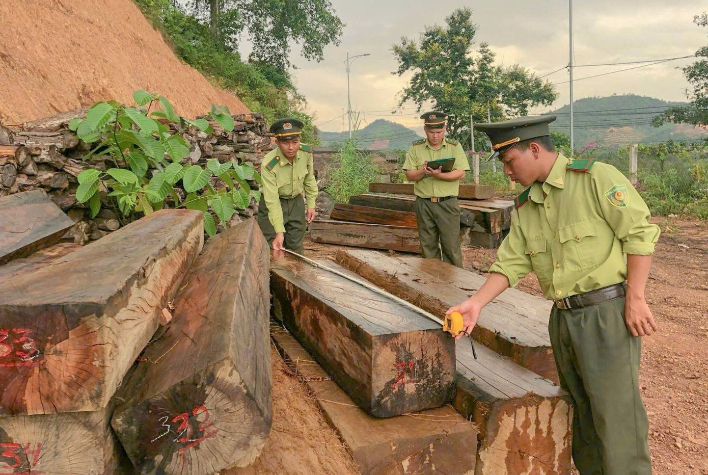 34 trường hợp thuộc Sở Nông nghiệp và Phát triển nông thôn có đơn tự nguyện tinh giảm trong đó có nhiều cán bộ thuộc Chi cục Kiểm lâm. Ảnh: H.L. 34 trường hợp thuộc Sở Nông nghiệp và Phát triển nông thôn có đơn tự nguyện tinh giảm trong đó có nhiều cán bộ thuộc Chi cục Kiểm lâm. Ảnh: H.L.
