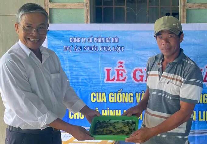 Bàn giao cua giống thuộc dự án nuôi cua lột tại Phú Yên. Ảnh: Báo Phú Yên.