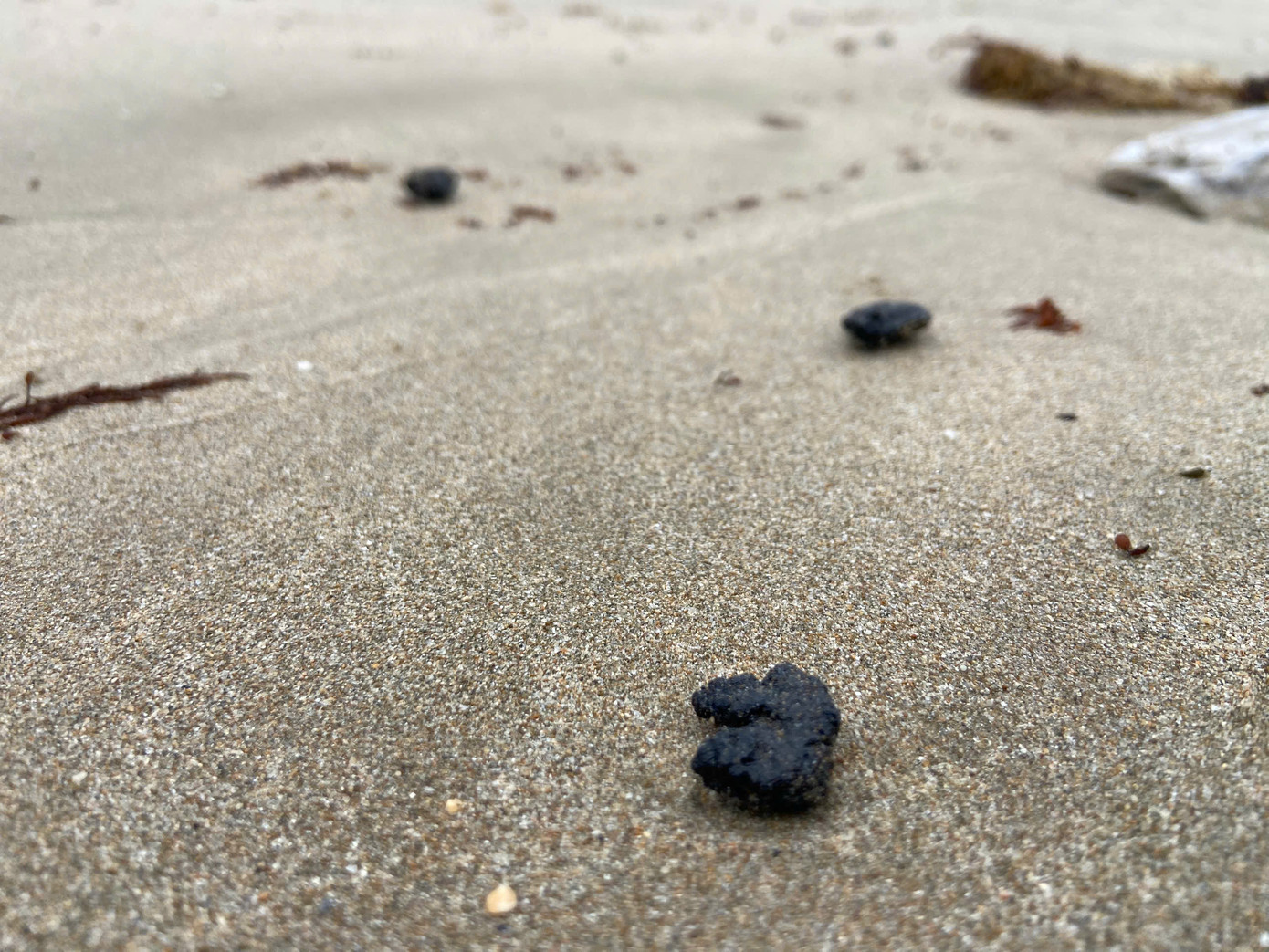 Dầu vón cục nằm rải rác tại bờ biển Hòn Chồng. Dầu vón cục nằm rải rác tại bờ biển Hòn Chồng.