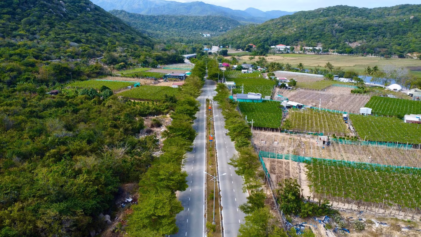 Khu vực quy hoạch xây dựng khu tái định cư, định canh cho người dân tại dự án ĐHN Ninh Thuận 2.