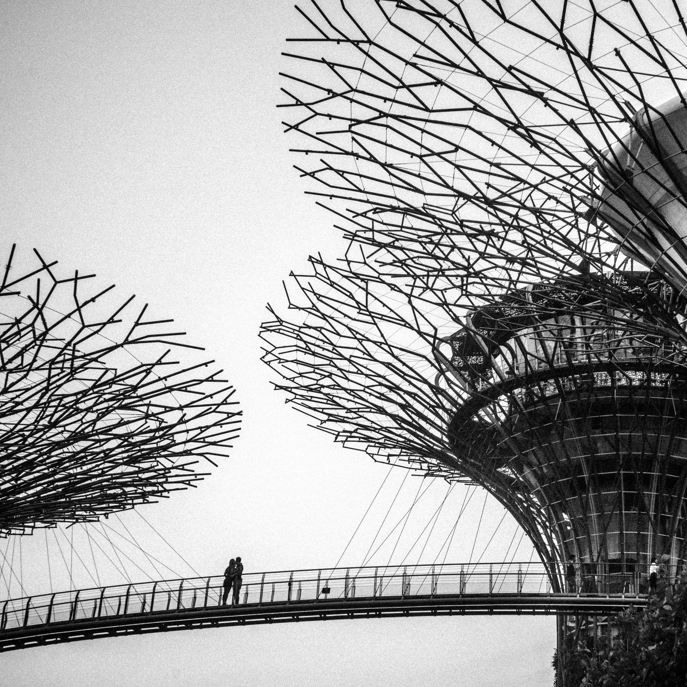 “Đô thị sôi động nhất không phải ở tiếng còi xe, mà ở nhịp đập rộn ràng của những trái tim biết rung cảm trước nhau”. Ảnh: Hạt kết nối - Đồng Lâm Thanh Tùng. “Đô thị sôi động nhất không phải ở tiếng còi xe, mà ở nhịp đập rộn ràng của những trái tim biết rung cảm trước nhau”. Ảnh: Hạt kết nối - Đồng Lâm Thanh Tùng.