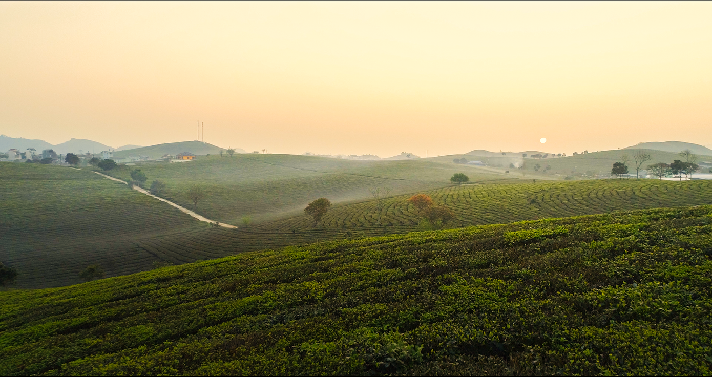 Phê La cùng định vị: Thương hiệu về thức uống đặc sản với nguồn cảm hứng bất tận từ nông sản Việt.