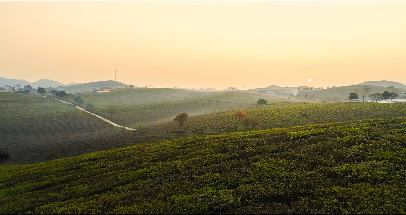 Phê La cùng định vị: Thương hiệu về thức uống đặc sản với nguồn cảm hứng bất tận từ nông sản Việt.