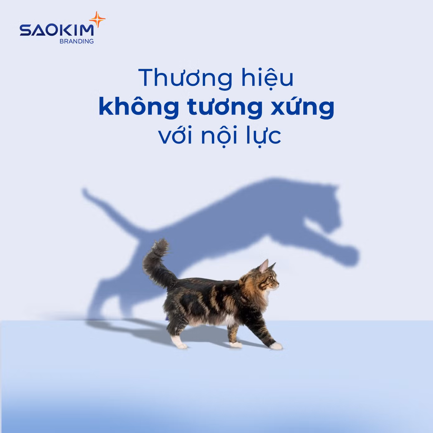 Một chiếc áo thương hiệu “chật” sẽ không thể giúp doanh nghiệp bạn mở rộng