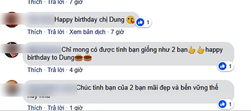 HH Phương Nga vui vẻ cùng tri kỷ đón tuổi mới dù bị phục hồi điều tra ảnh 4