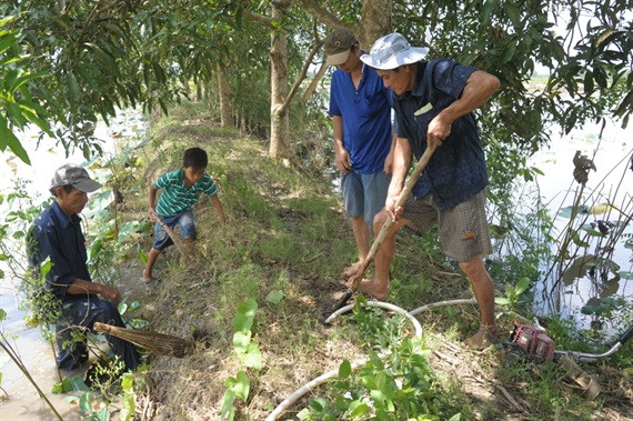 Mùa này ở miền Tây đang vào mùa lũ nên chuột tập trung nhiều những bờ có gò đất cao để ẩn nấp
