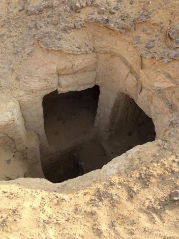 Tìm thấy 800 ngôi mộ Ai Cập 4.000 năm ở 'thành phố của người chết' ảnh 2