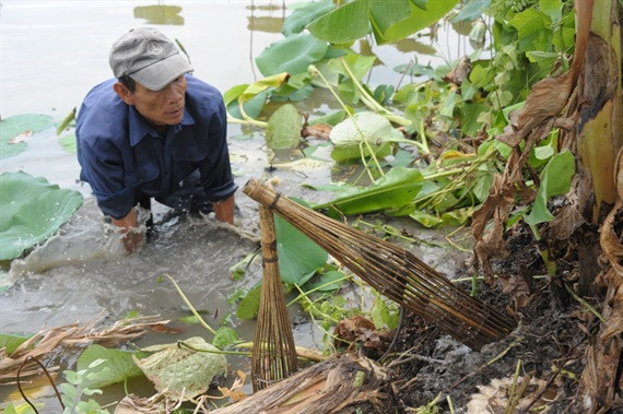Sau khi phát hiện hang có chuột, người đi bắt sẽ tìm các ngách và đặt xà di để đón đầu chuột chạy ra