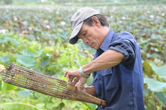 Bắt chuột ra khỏi xà di và bỏ chuột vào rọng