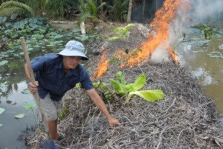 Chuột bắt xong được người dân bẻ răng, để chuột không còn cắn vào tay gây thương tích