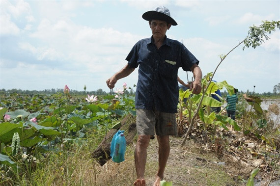 Hiện tại chuột đồng còn sống có giá từ 45.000 – 55.000 đồng/kg, vậy một buổi săn chuột người dân miền Tây có thu nhập hơn nửa triệu đồng là rất đơn giản