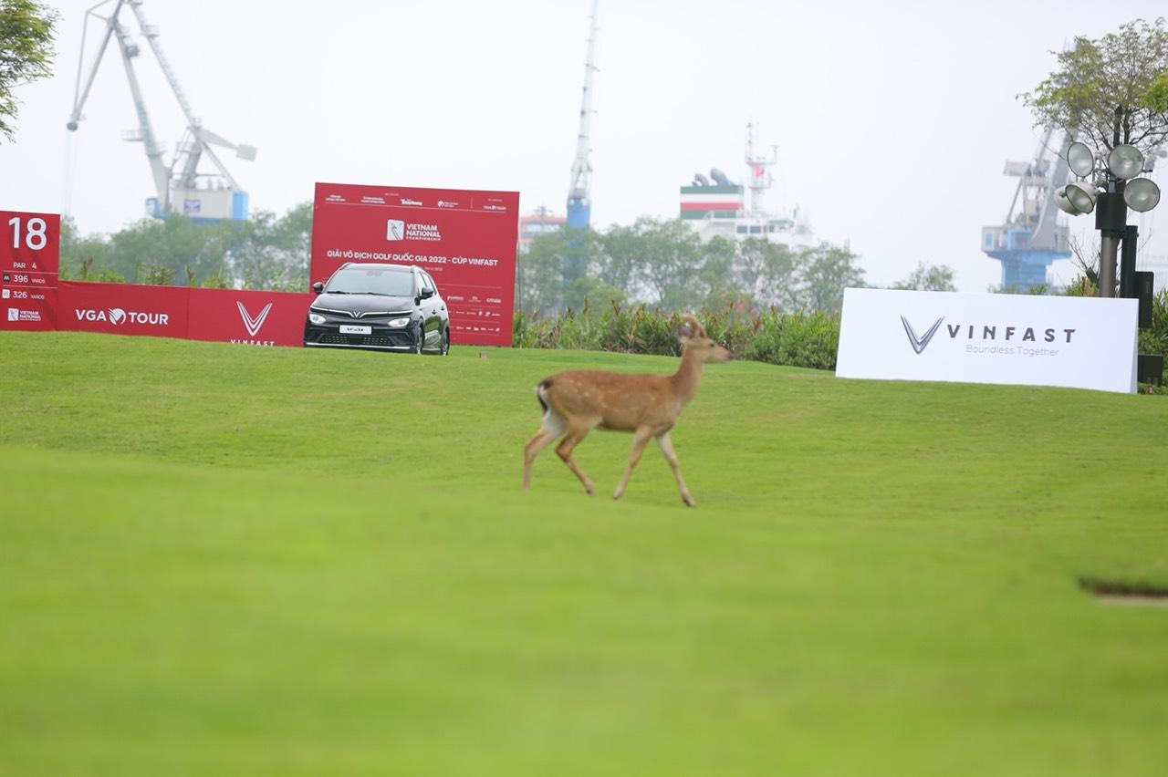 NÓNG: Thêm hole in one tại Giải Vô địch Golf Quốc gia 2022 - Cúp VinFast ảnh 37 NÓNG: Thêm hole in one tại Giải Vô địch Golf Quốc gia 2022 - Cúp VinFast ảnh 37