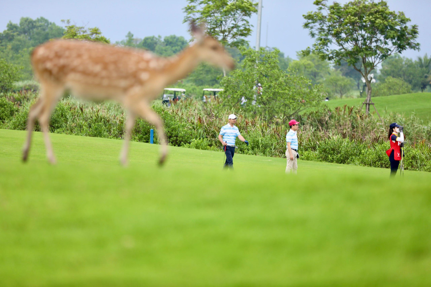 Golfer Đinh Thanh Vượng vô địch Giải Golf Hải Phòng mở rộng - Cúp Hoa Phượng 2022 ảnh 39