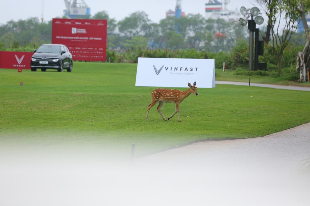 NÓNG: Thêm hole in one tại Giải Vô địch Golf Quốc gia 2022 - Cúp VinFast ảnh 38 NÓNG: Thêm hole in one tại Giải Vô địch Golf Quốc gia 2022 - Cúp VinFast ảnh 38