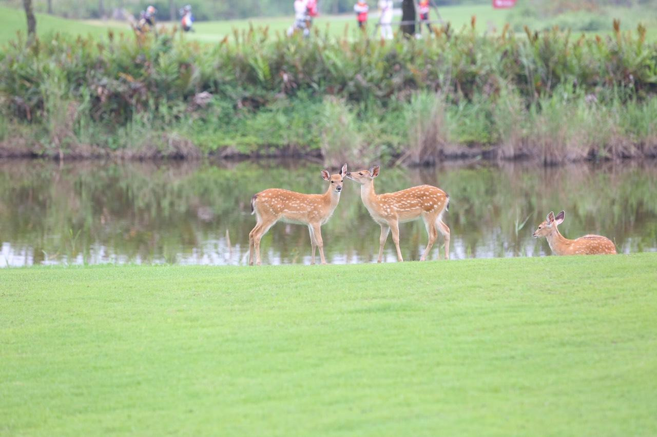 NÓNG: Thêm hole in one tại Giải Vô địch Golf Quốc gia 2022 - Cúp VinFast ảnh 40 NÓNG: Thêm hole in one tại Giải Vô địch Golf Quốc gia 2022 - Cúp VinFast ảnh 40