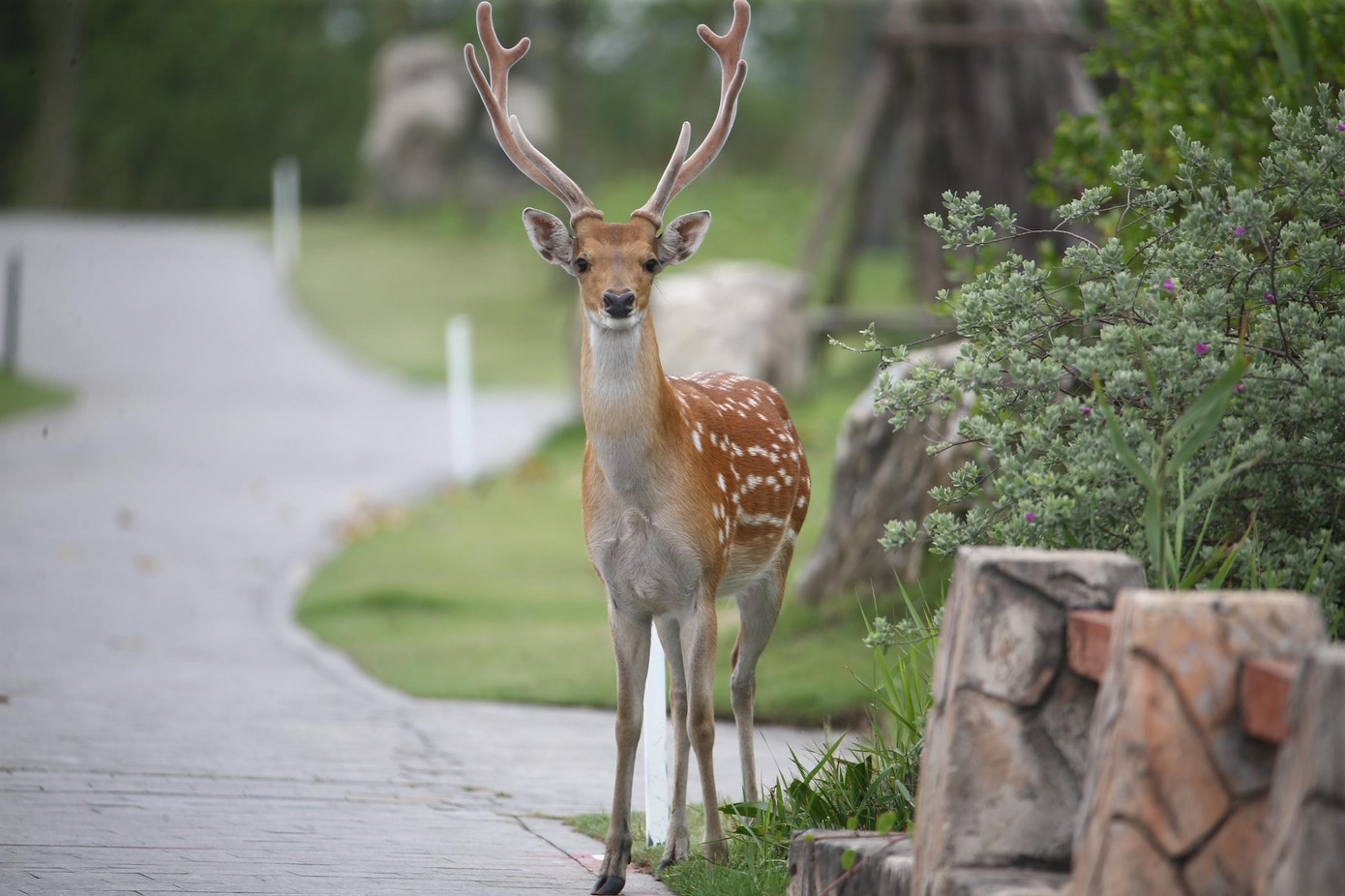 Giải Vô địch Golf Quốc gia 2022 – Cúp VinFast khép lại những ngày đáng nhớ ảnh 42