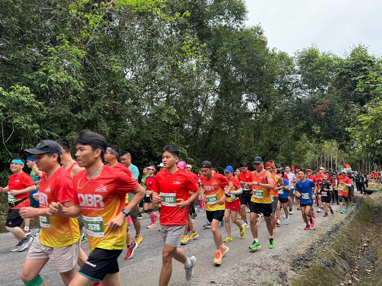 Có hơn 2.400 VĐV tham gia