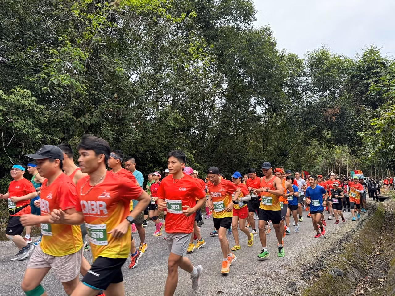 Có hơn 2.400 VĐV tham gia