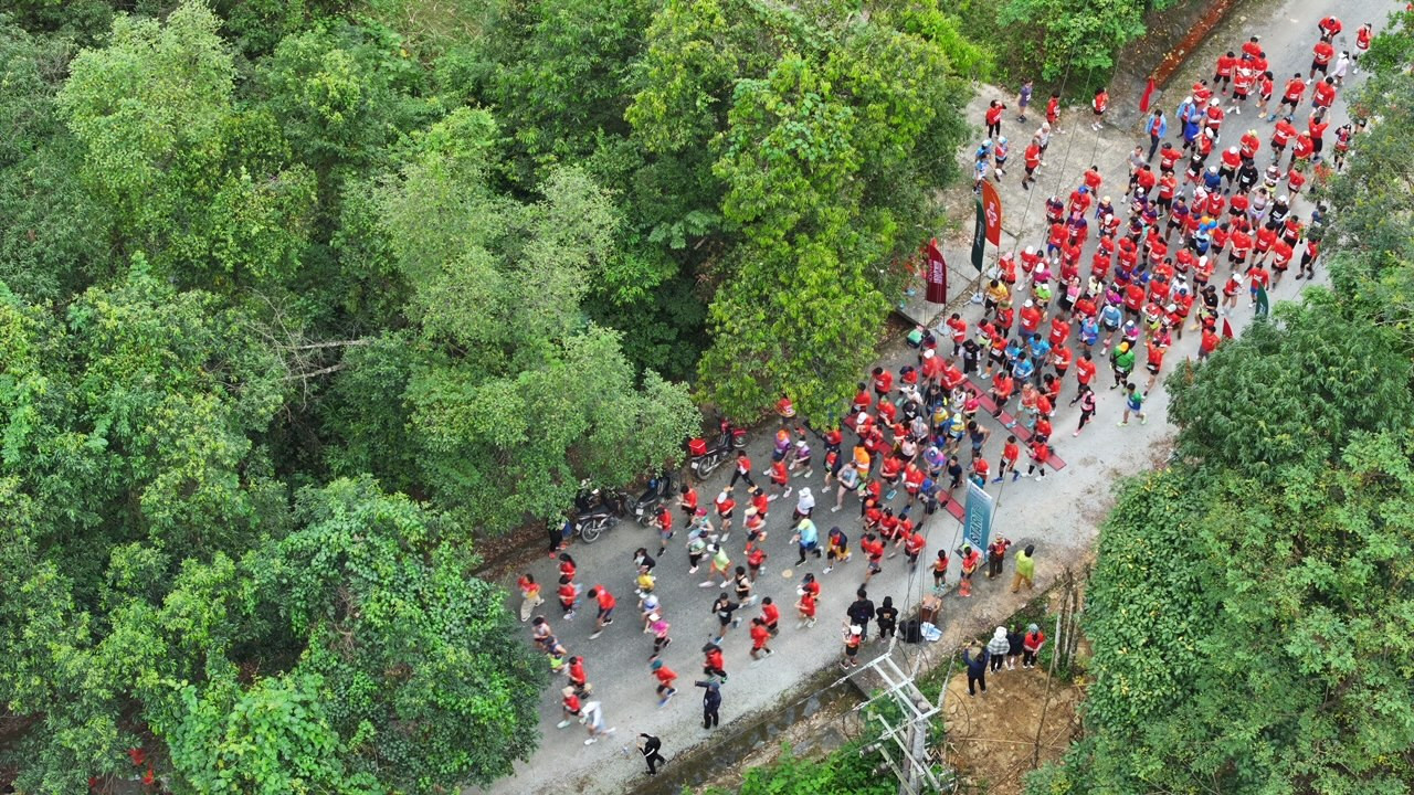 Các VĐV chạy dưới tán rừng nguyên sinh