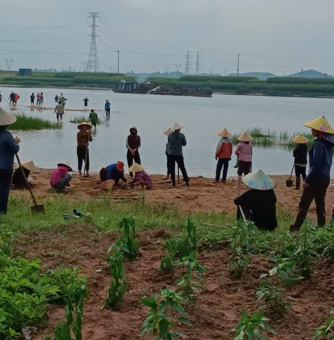 Trước đó, nhiều người dân thôn Thanh Bình 2 có những hành động quá khích khi phản đối nạo hút cát để phục vụ cao tốc Bắc-Nam.