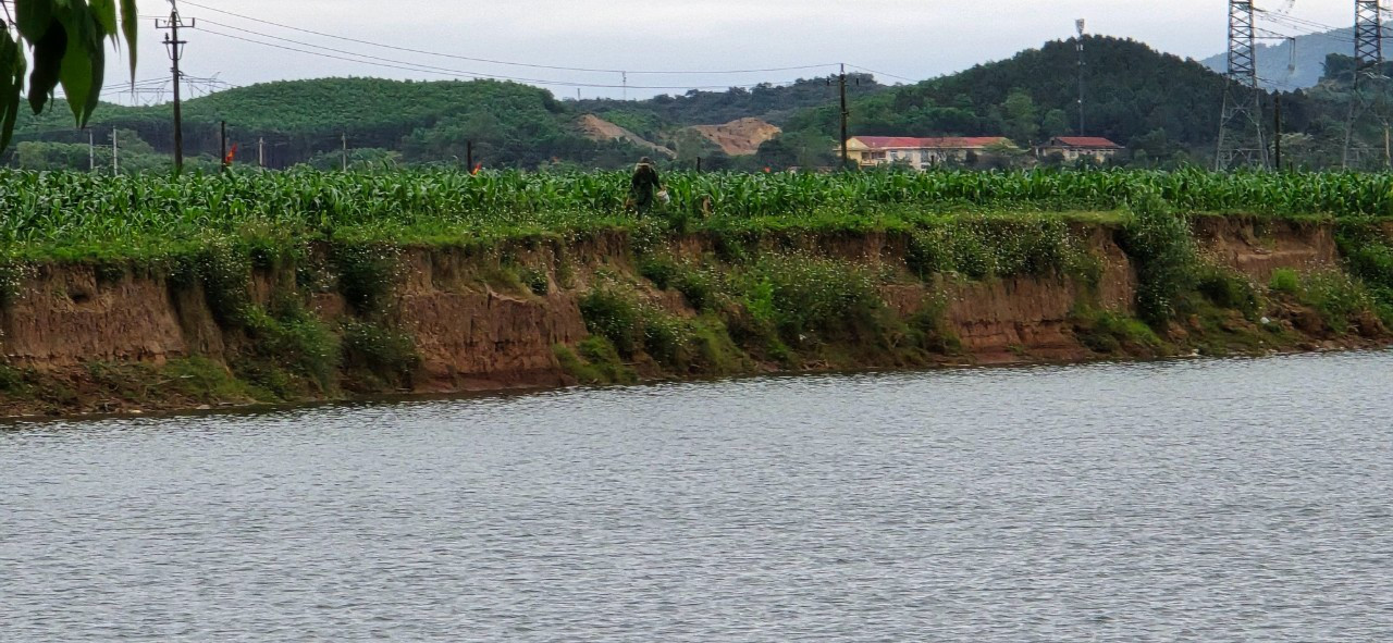 Bờ sông Son đoạn qua xã Hưng Trạch thường xuyên bị sạt lở
