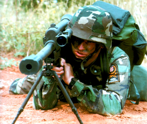 Cận cảnh các loại súng bắn tỉa “hầm hố” nhất hiện nay ảnh 5